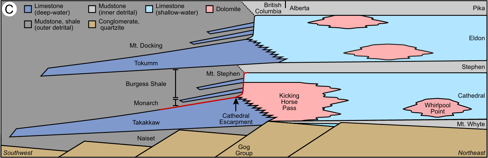 Schematic cross-section of the Cathedral Formation platform margin showing fault-controlled dolomite bodies at Kicking Horse Pass and Whirlpool Point adjacent to the Burgess Shale Formation.