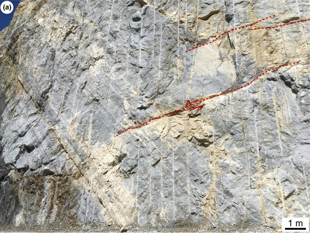 Outcrop photograph showing a fault zone marked by red dashed lines bordering a dolomite alteration halo.