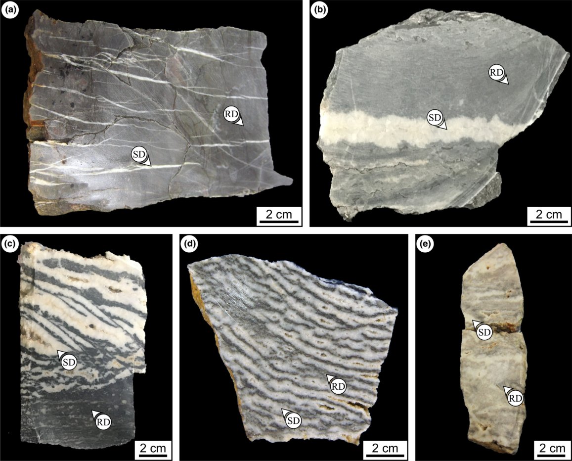 Five hand sample photographs showing banded zebra-textured dolomite with replacement dolomite and saddle dolomite cement labeled.