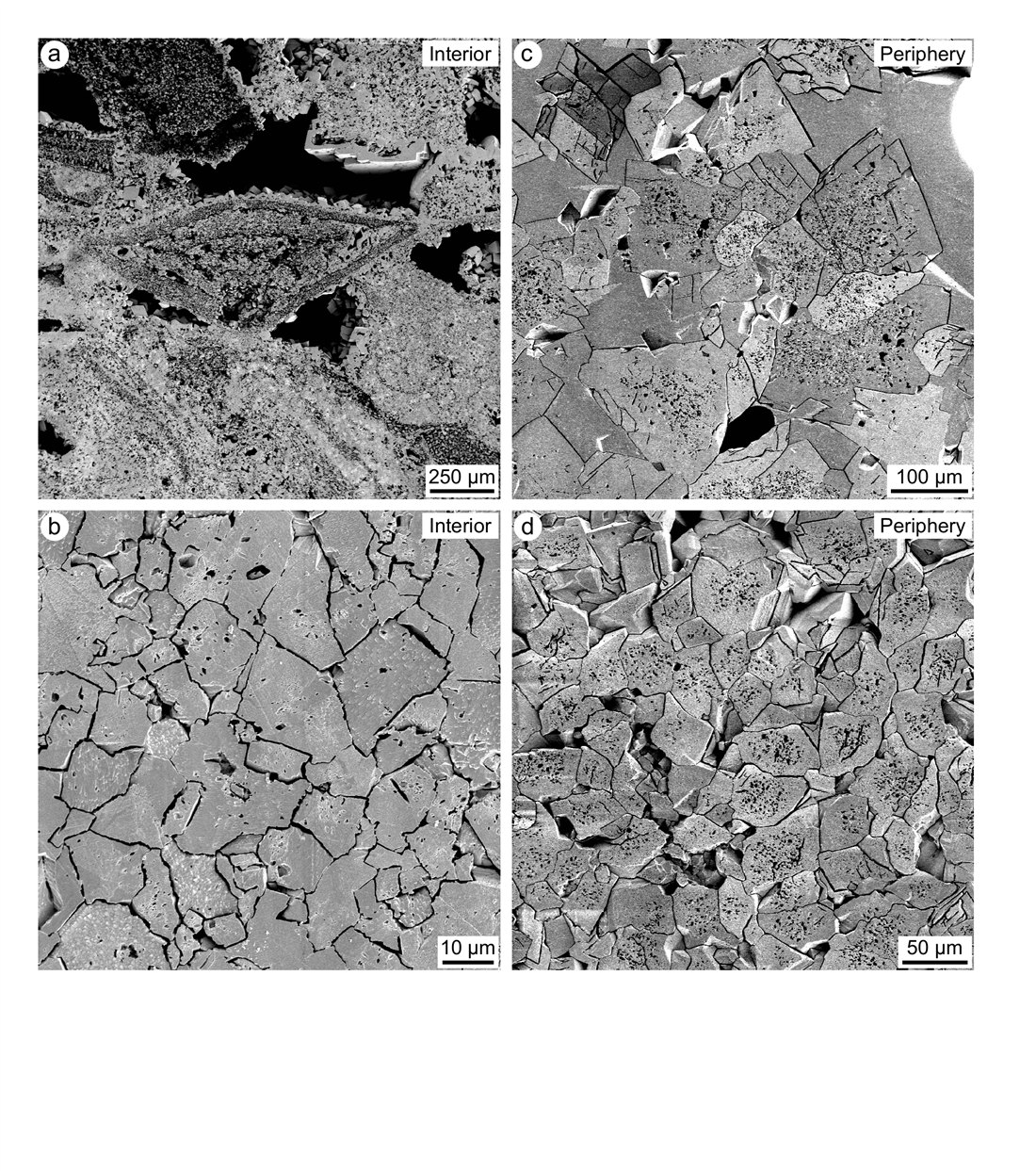 SEM images of dolomite crystals from the interior and periphery of Grand Cayman, showing clean, well-ordered crystal faces with minimal secondary alteration.
